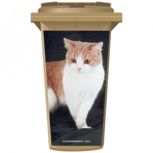 Tabby Ginger Cat Wheelie Bin Sticker Panel